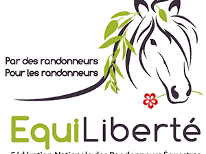 texte alternatif a remplacer