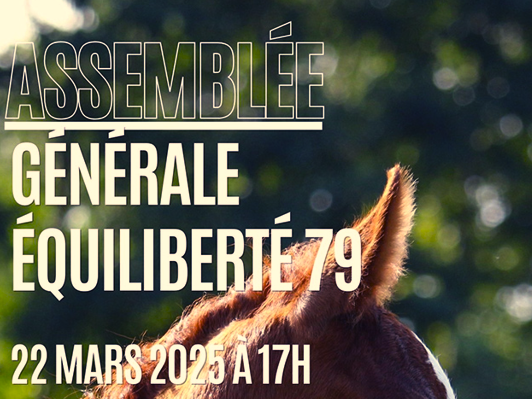 texte alternatif a remplacer