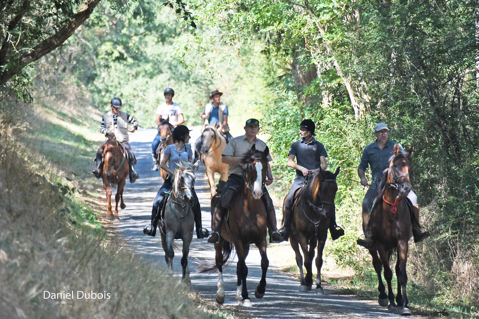 Les Cavaliers de l'Autize
