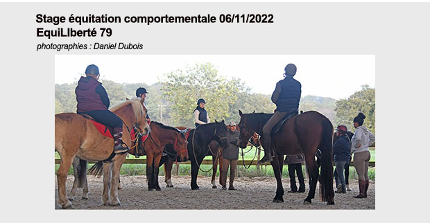 Pave lien equitation comportementale 06 11 2022 Daniel Dubois